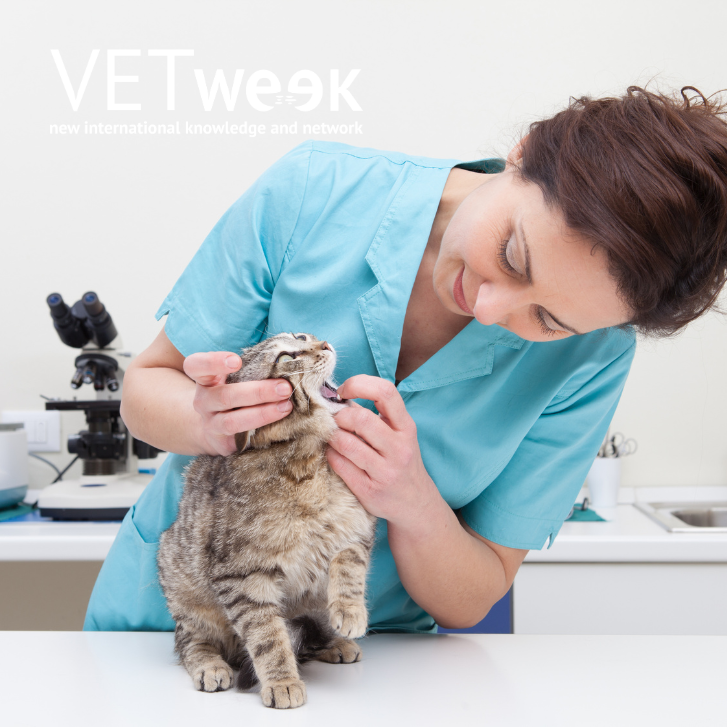 Design uden navn (27)